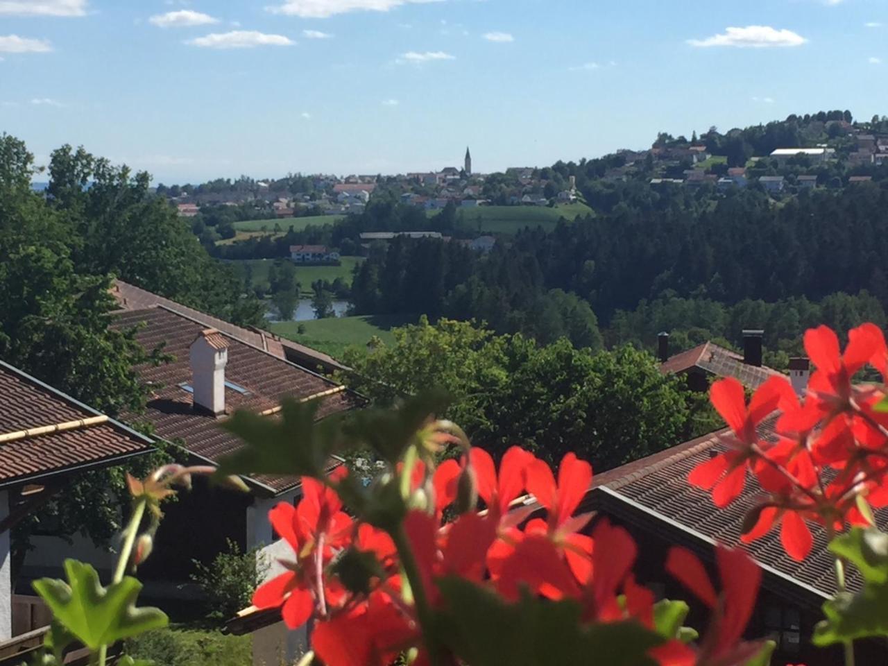 Ferienwohnung Waldblick 豪岑堡 外观 照片