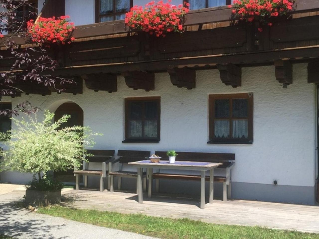 Ferienwohnung Waldblick 豪岑堡 外观 照片