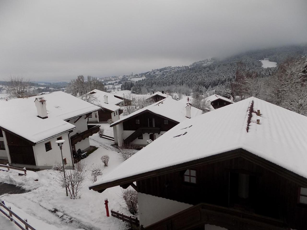 Ferienwohnung Waldblick 豪岑堡 外观 照片
