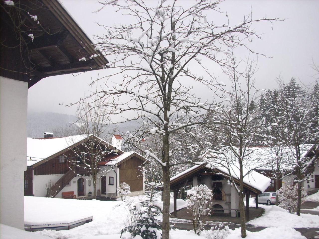 Ferienwohnung Waldblick 豪岑堡 外观 照片